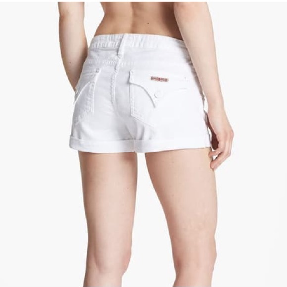 Hudson Hampton Shorts - Picture 7 of 8